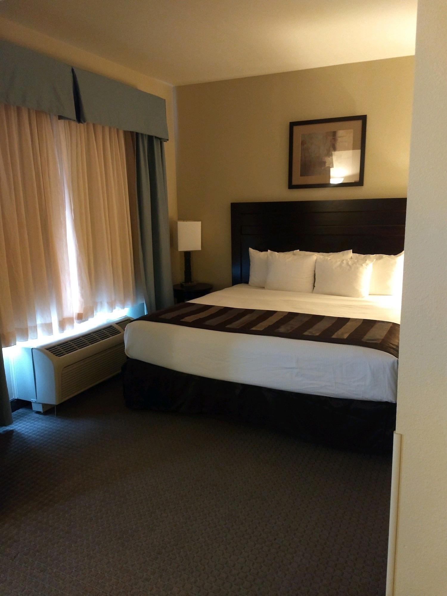 Wingate By Wyndham New Braunfels Hotel Buitenkant foto